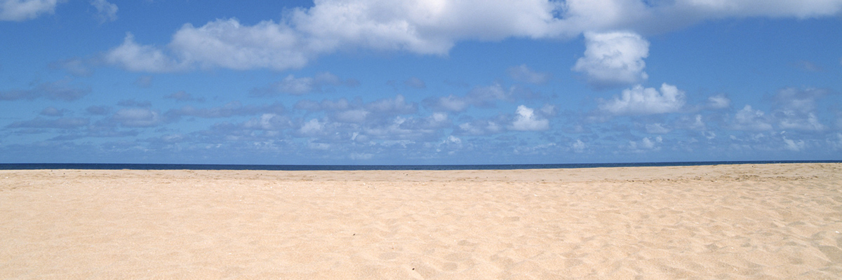 京都市でカーリースならおすすめ店舗5選比較｜口コミ・評判で人気